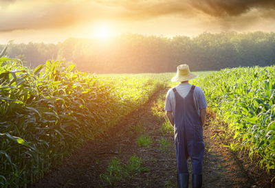 Colonos e agricultores: significados diferentes, mas a mesma importância