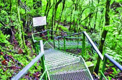 Obras da escadaria devem iniciar ainda no início de 2026