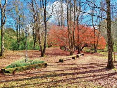 Parque Witeck: um local para ser visitado nas quatro estações 