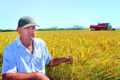Agricultor Rui Kohl destaca a sua insatisfação com o baixo preço do arroz