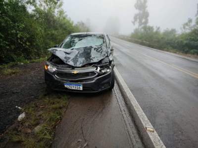 Veículo colide com bovino na ERS-400