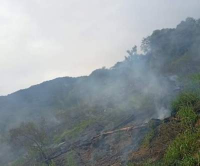 Bombeiros Voluntários de Cabrais combatem incêndio em mata