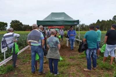 Estandes foram montados em lavouras demonstrativas no Pinheiro