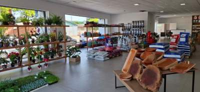  Don Mariano Agroshop: um espaço de tradição e cuidado 