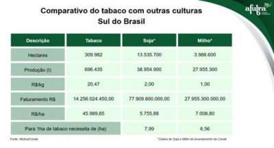 Renda por hectare do tabaco chega a ser 700% maior que a dos grãos