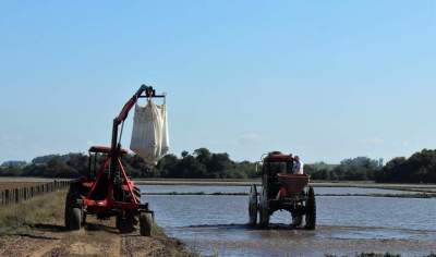 Candelária dá inicio ao plantio  de arroz para a próxima safra