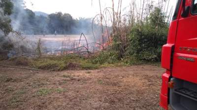 Bombeiros combatem fogo em taquareira