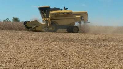 Agricultura: produção de soja supera a de tabaco em valores