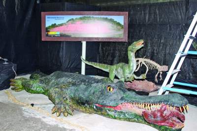 Expocande: Público poderá conferir réplicas e fósseis de animais pré-históricos