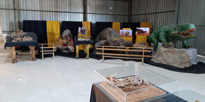 Mostra paleontológica será um dos destaques da feira (Foto: Divulgação)