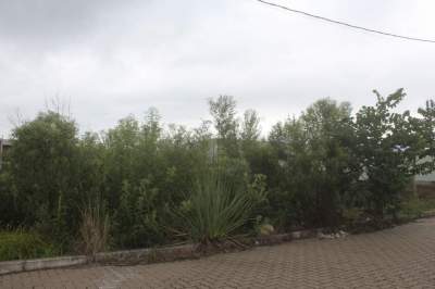 Mato alto em terrenos baldios preocupa e vira alvo de fiscalização