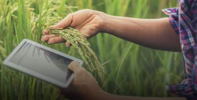Sicredi promove evento digital sobre inovações no agronegócio
