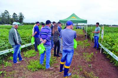 Informe Comercial: Sollus Agrícola apresenta novidades em dia de campo