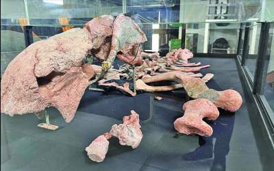 Geoparque avança na estruturação e projeta desenvolvimento da região