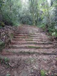 Revitalização da Rota Caminho dos Tropeiros já foi iniciada com a limpeza da escadaria de pedra construída em 1810