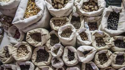 Amvarp manifesta repúdio a projeto que altera Lei de Proteção de Cultivares