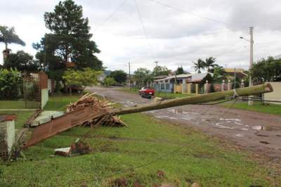 Quarta amanhece com seis postes de telefone caídos