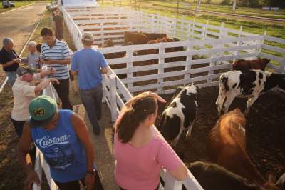 Exposição de Animais valoriza o agronegócio na 10ª Expocande