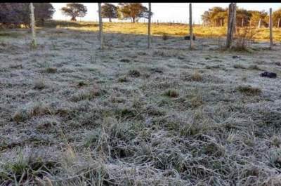 Frio retorna ao Estado a partir desta segunda-feira