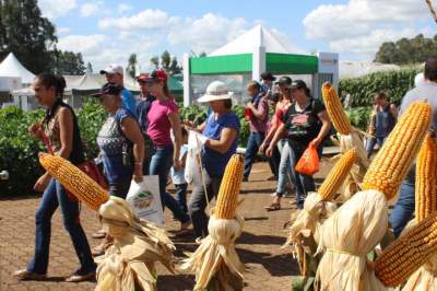 Devido ao sucesso, evento poderá ganhar mais um dia em 2019