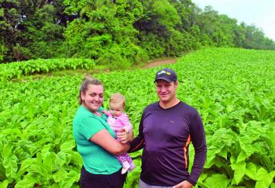 Jovens agricultores reassumem o protagonismo na fumicultura