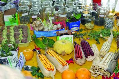 Semana do Meio Ambiente iniciativas que promovem a preservação ambiental reunirão diversas entida