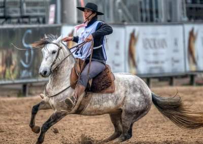 Expointer: cabanha candelariense conquista ouro e prata no Junior