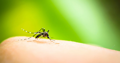 RS registra o terceiro óbito por dengue no ano