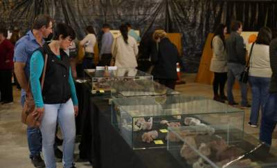 Expocande 2025 terá a maior exposição de Paleontologia de sua história