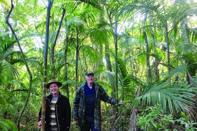 Família aposta no manejo agroflorestal para produzir alimentos sustentáveis