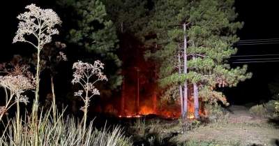 Bombeiros Voluntários combatem fogo em vegetação
