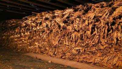 Preço do tabaco: primeira rodada termina sem acordo 