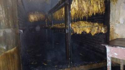 Estufa de tabaco é atingida por incêndio na Linha do Salso 
