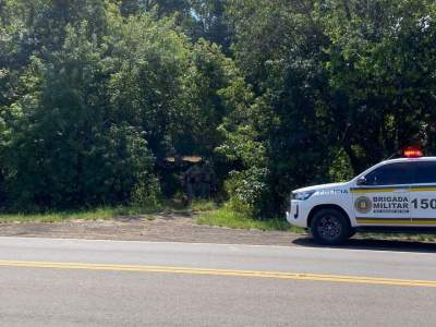 BM realiza buscas por homem que fugiu para área de mata