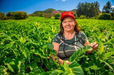 Dia da Mulher Rural: a liderança de Elonita na produção de tabaco 