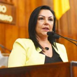 Kelly Moraes concederá a Medalha da 55ª Legislatura aos Hospitais Ana Nery e Santa Cruz