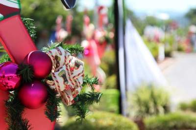 Ornamentação na cidade antecipa o clima natalino