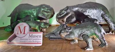 Paleontologia: Candelária é apresentada ao Jachaleria candelariensis