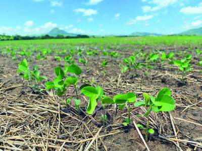 Chuvas aliviam estiagem no município 