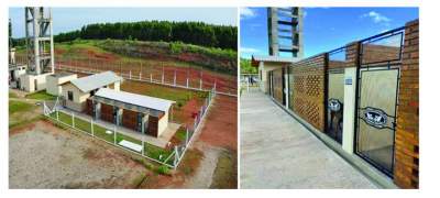  Projeto prevê construção de canil no presídio