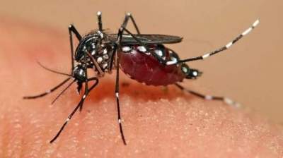 Secretaria de Saúde confirma caso de dengue em Candelária